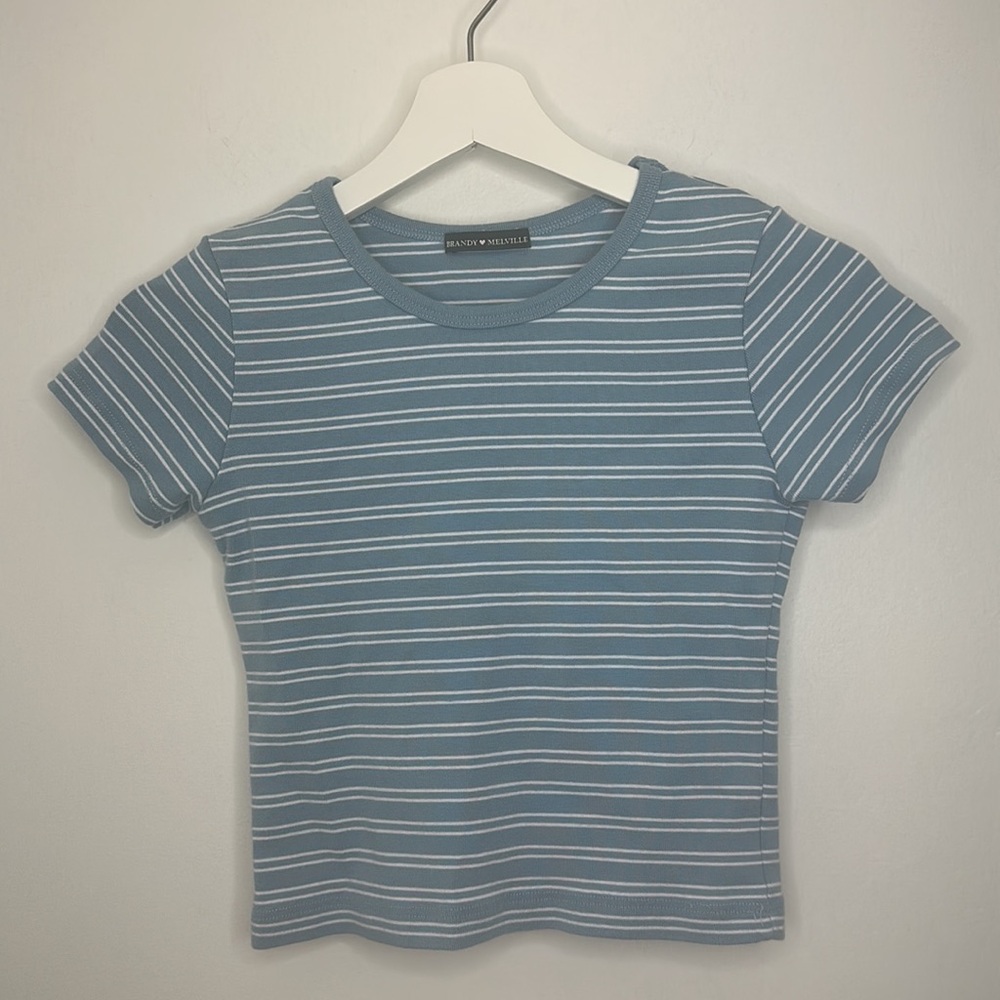 Brandy Melville blue crop top